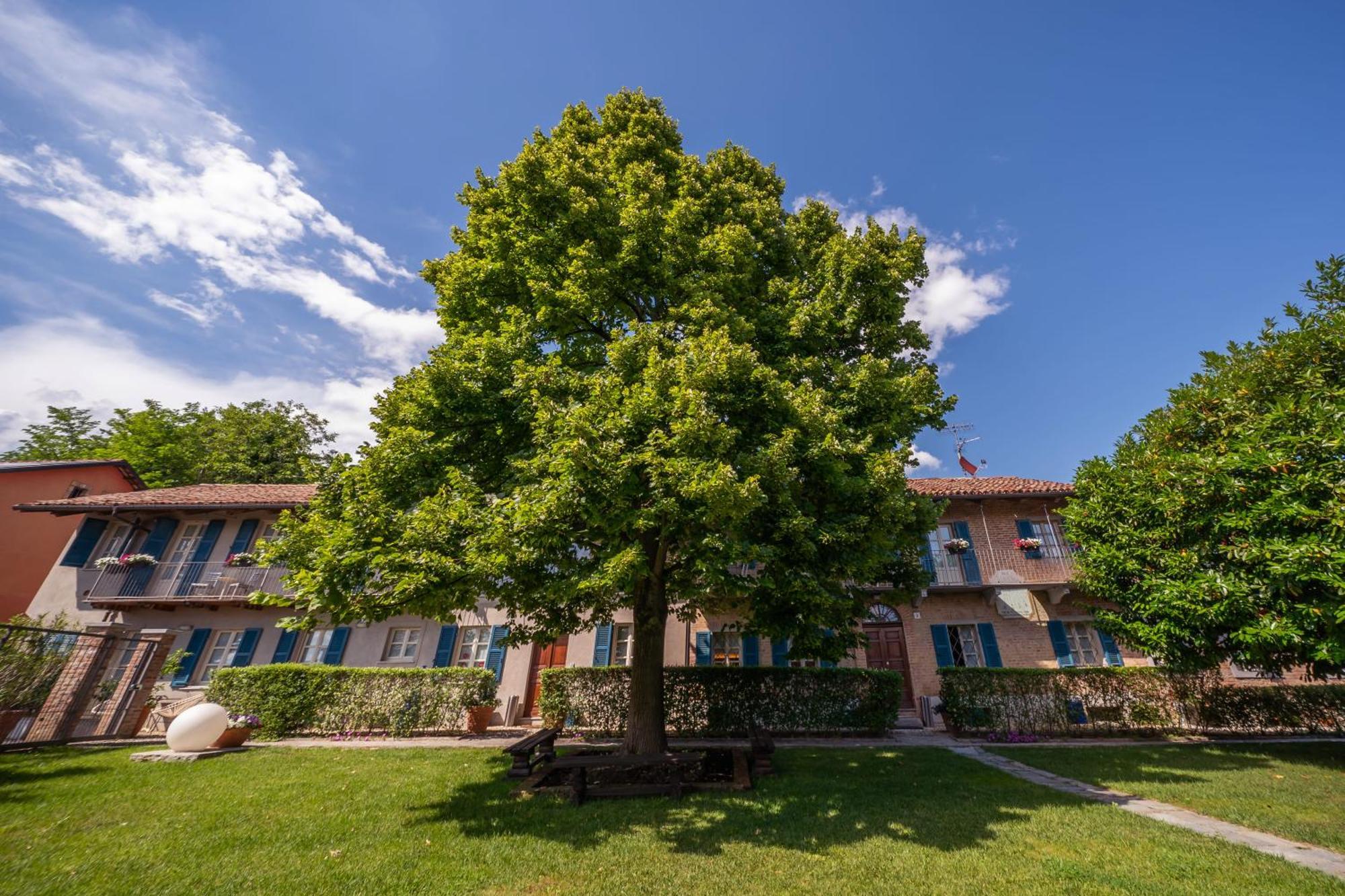 La Madernassa Resort - Casalora Dimora Storica Di Charme Guarene Kültér fotó